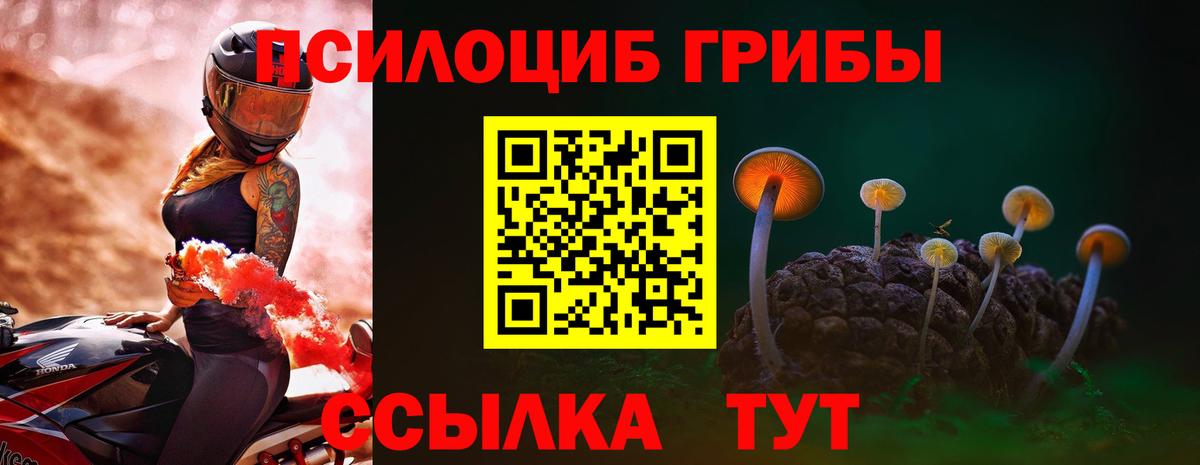 Узловая  Галлюциногенные грибы ЛСД  наркота  Вход с VPN  Псилоцибиновые грибы Psilocybine cubensis 